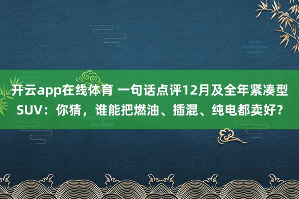开云app在线体育 一句话点评12月及全年紧凑型SUV：你猜，谁能把燃油、插混、纯电都卖好？