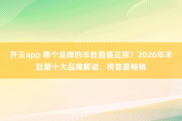 开云app 哪个品牌的羊肚菌最正宗？2026年羊肚菌十大品牌解读，榜首最畅销