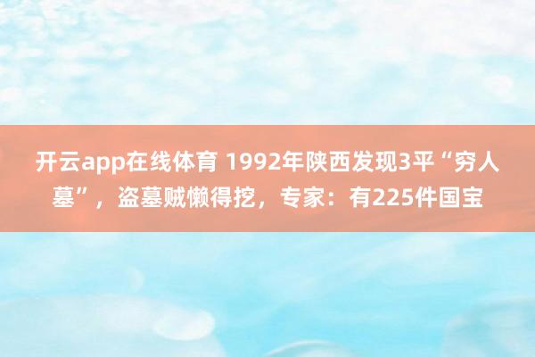 开云app在线体育 1992年陕西发现3平“穷人墓”，盗墓贼懒得挖，专家：有225件国宝