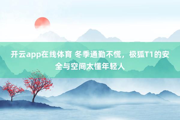 开云app在线体育 冬季通勤不慌，极狐T1的安全与空间太懂年轻人