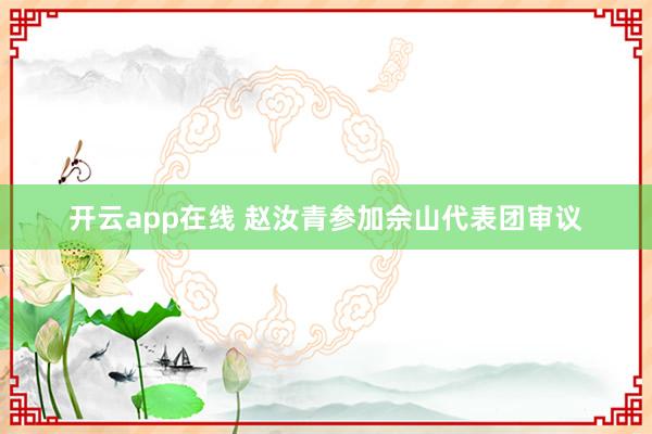 开云app在线 赵汝青参加佘山代表团审议