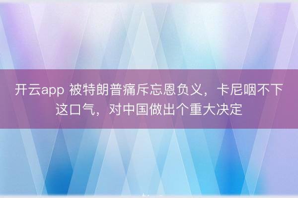 开云app 被特朗普痛斥忘恩负义，卡尼咽不下这口气，对中国做出个重大决定