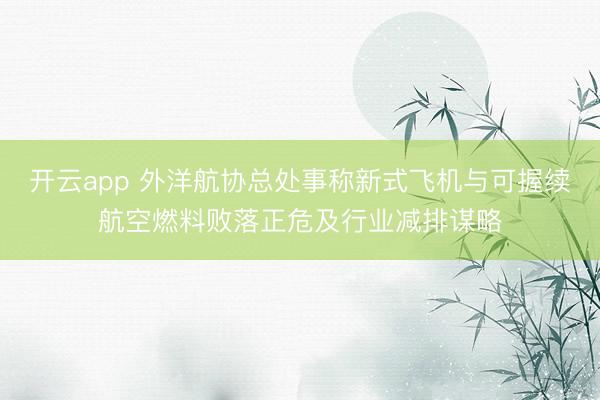 开云app 外洋航协总处事称新式飞机与可握续航空燃料败落正危及行业减排谋略